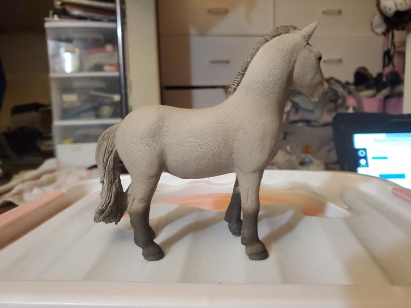 Other side of the mare