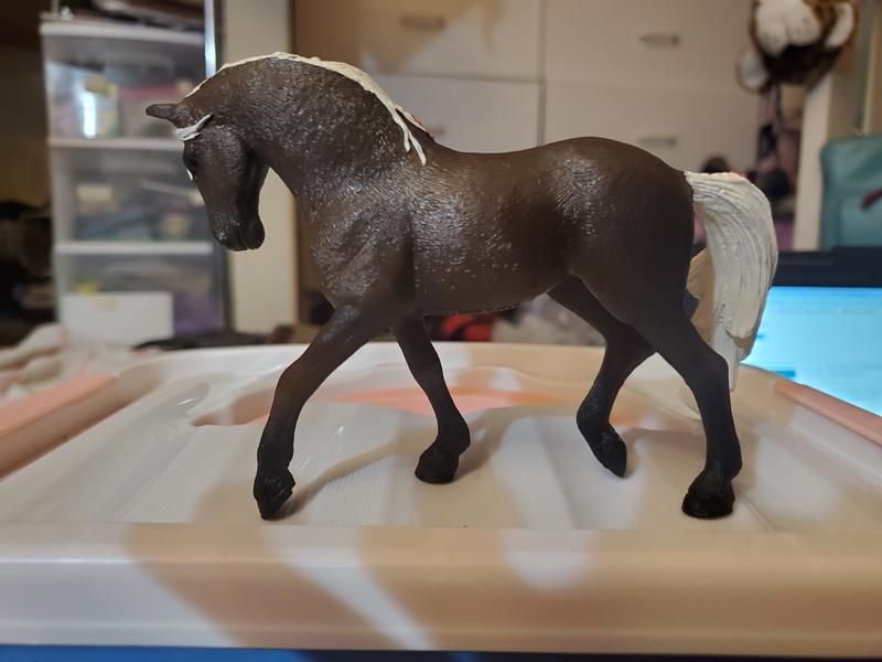 The other side of her. As you can see, shiny paint.