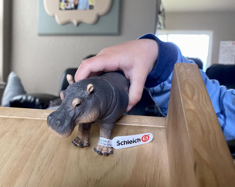 Hippo going for a slide