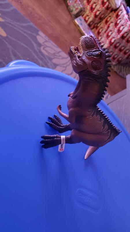 Review photo 4.