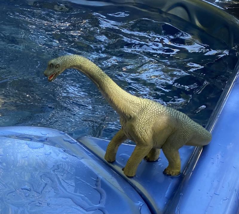 Hot tub time machine