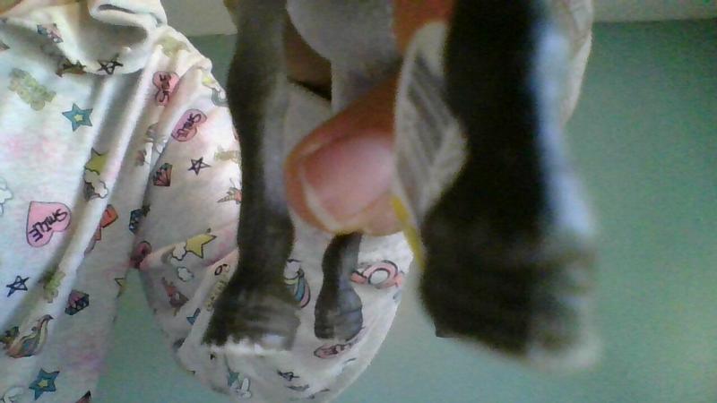 Review photo 3.