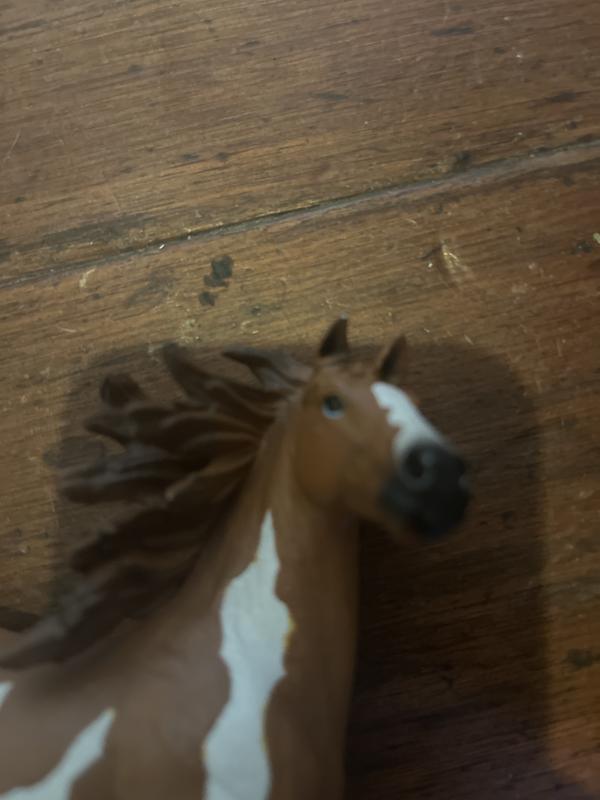 Photo from Athenschleich