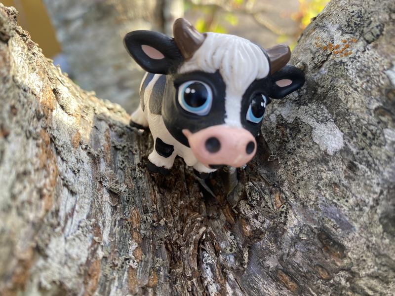 Bubblymoo, in a tree!
