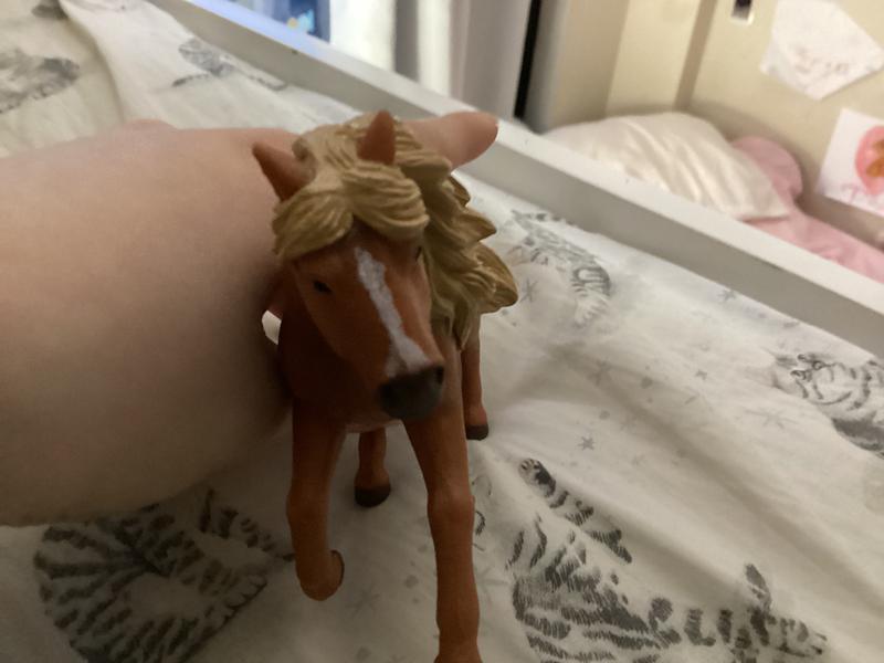 Firecracker’s front side