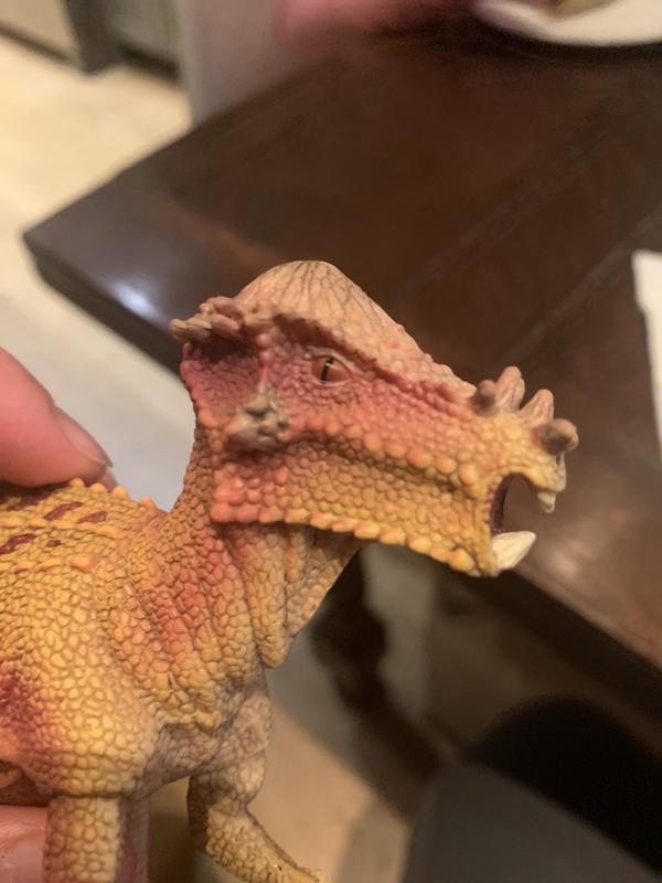 The mold is good, I guess it’s just the paint that seems leaking to me, mainly on the eyes.