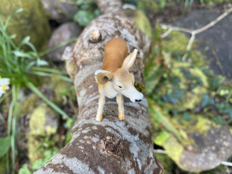 Little doe, in a tree!