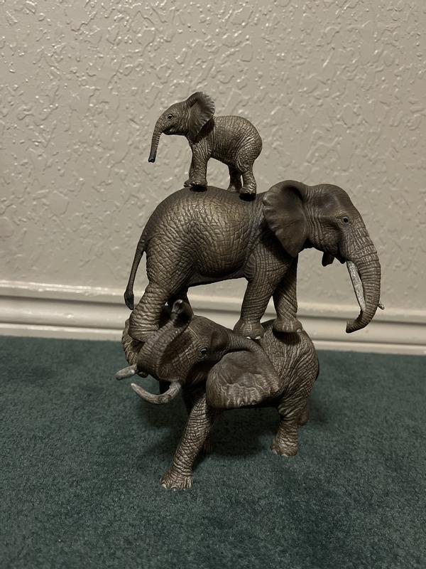 Review photo 2.