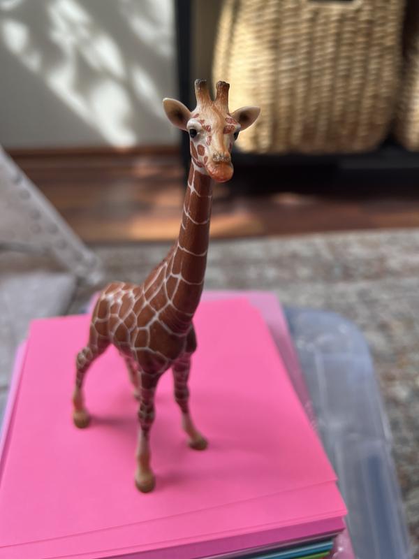 Photo from Amanda747r