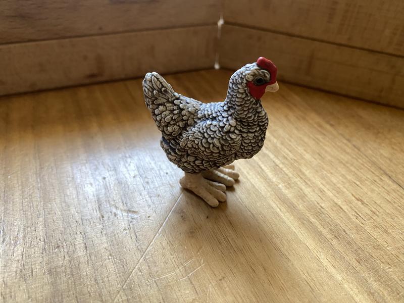 Chichen