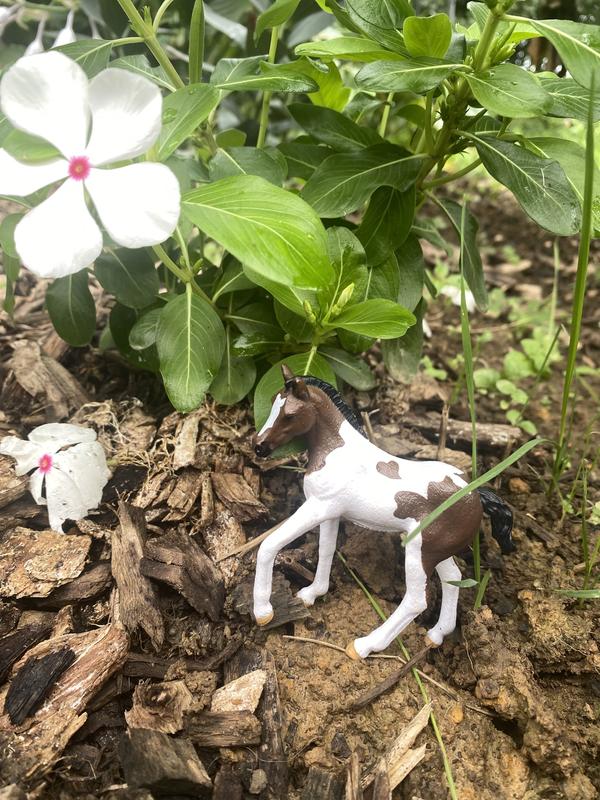 Rose and a flower
