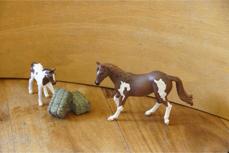 Mare and foal