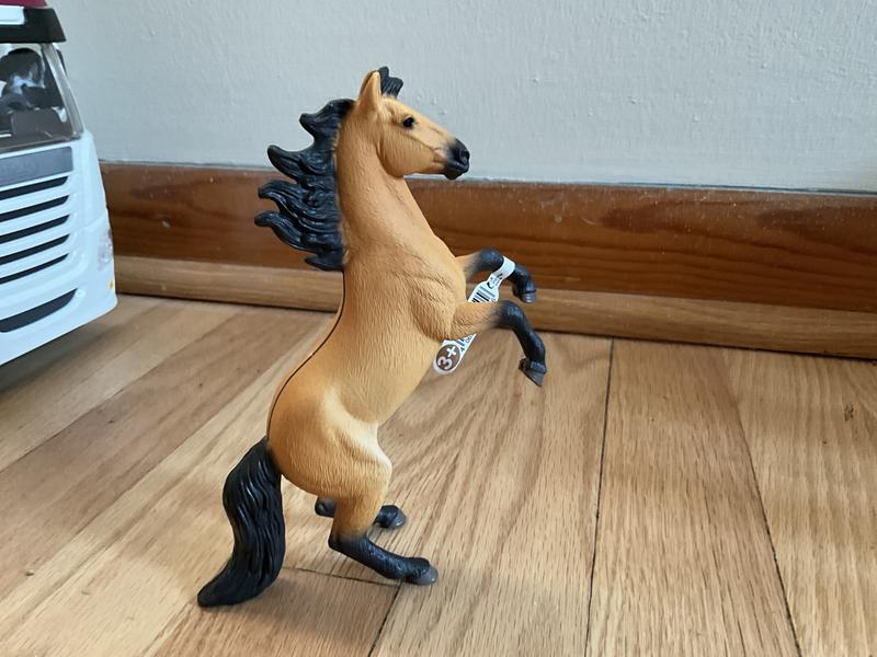 Review photo 4.
