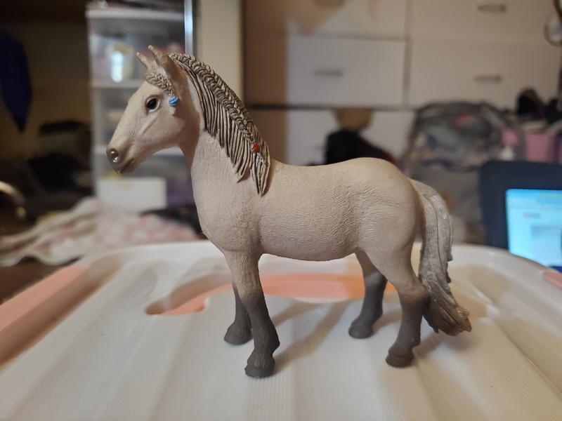 One side of the mare