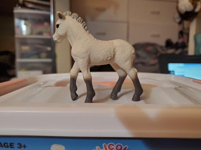 And the other side of the foal
