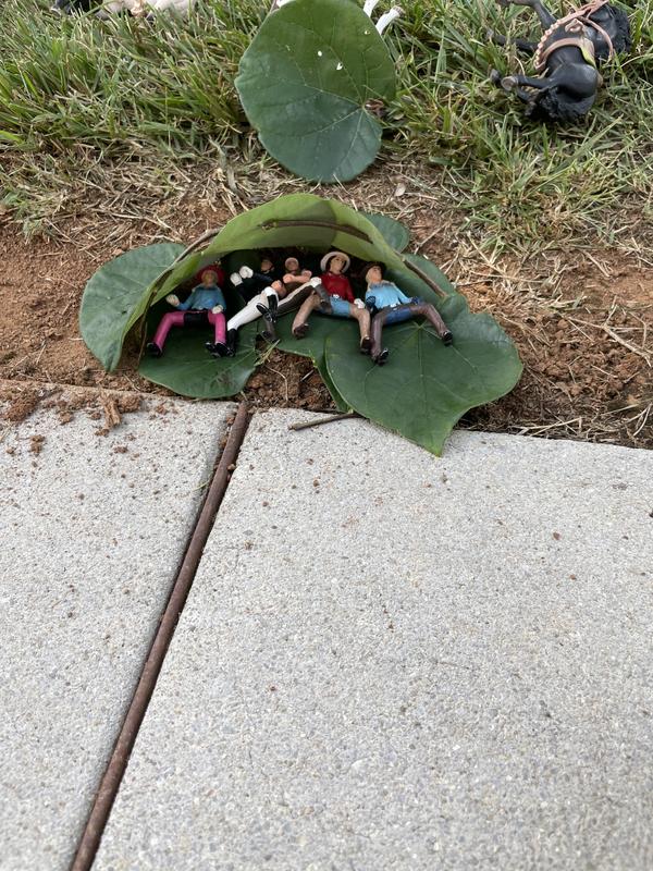 Shelter for the riders after a trail ride.