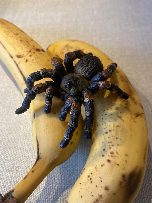 “Doris is on the bannanas!”