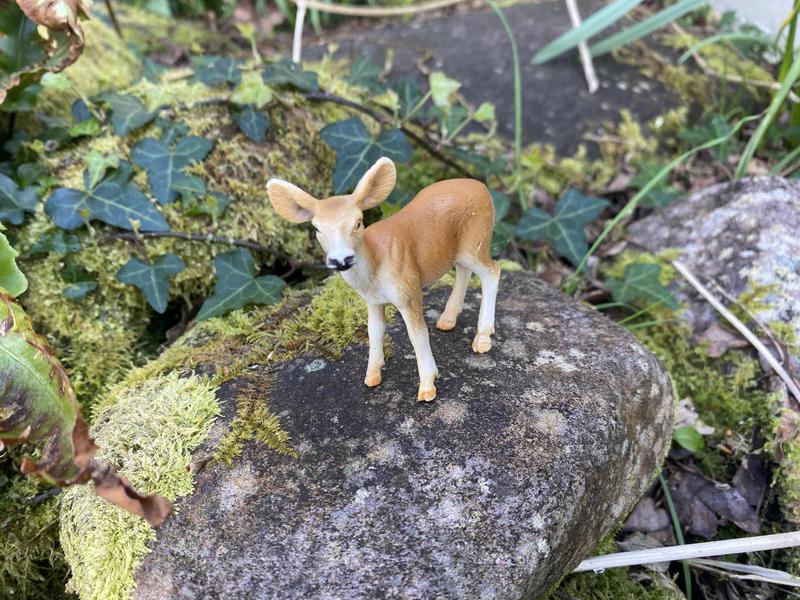 “Doe, a deer a female deer,…”