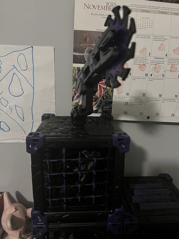 Review Thumbnail Image 0 370485391