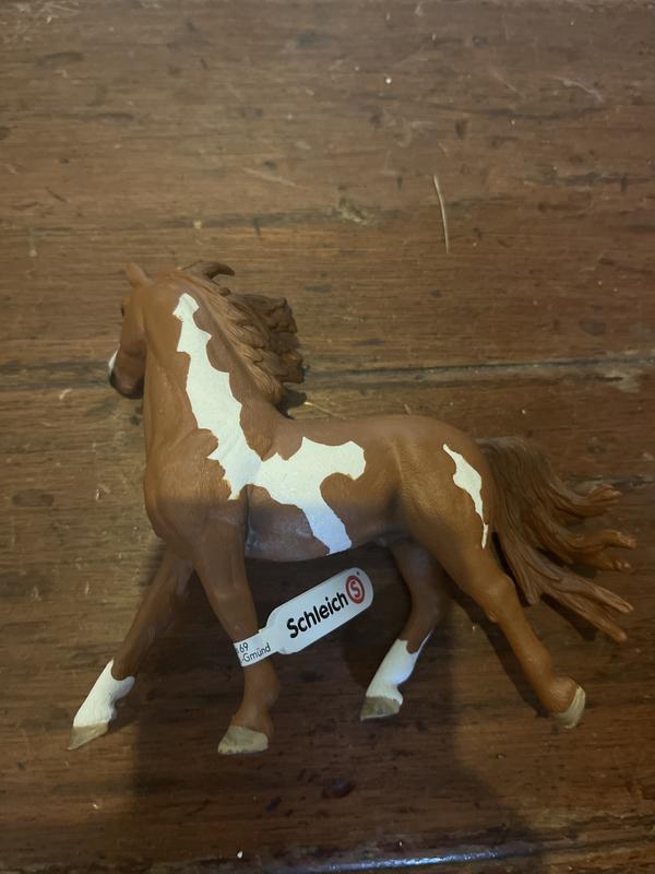 Photo from Athenschleich