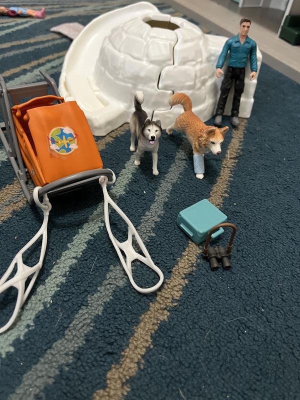 Getting ready to sled with the dogs!