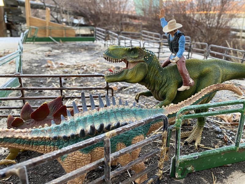 No limit to what this Dino can do.