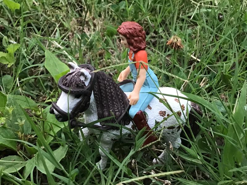 Photo from JosieTheSchleichLover