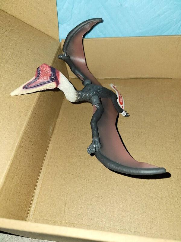 Review Thumbnail Image 0 340289943