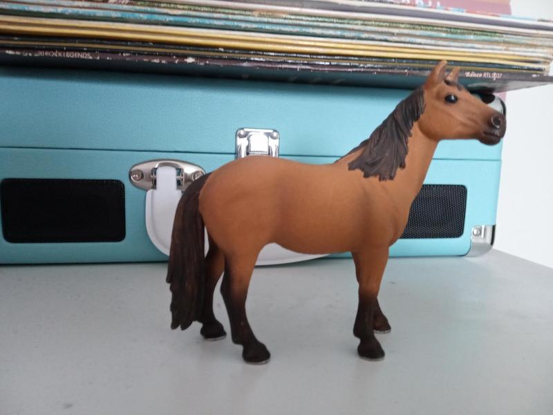 Photo from Horse Lover