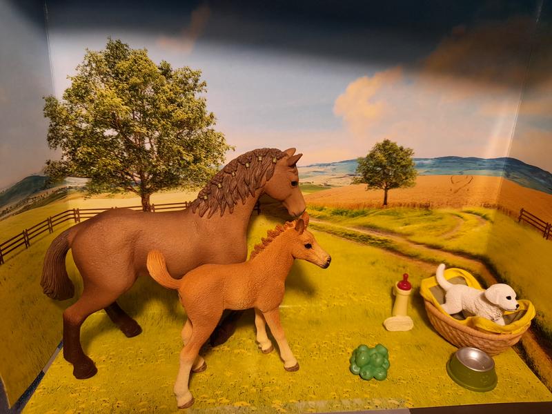 Review Thumbnail Image 0 1125149054