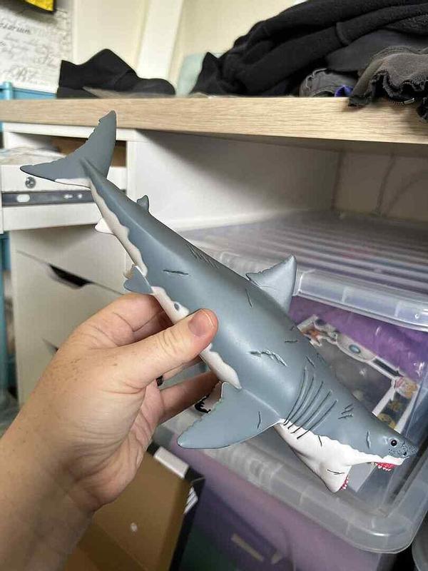 Review photo 4.