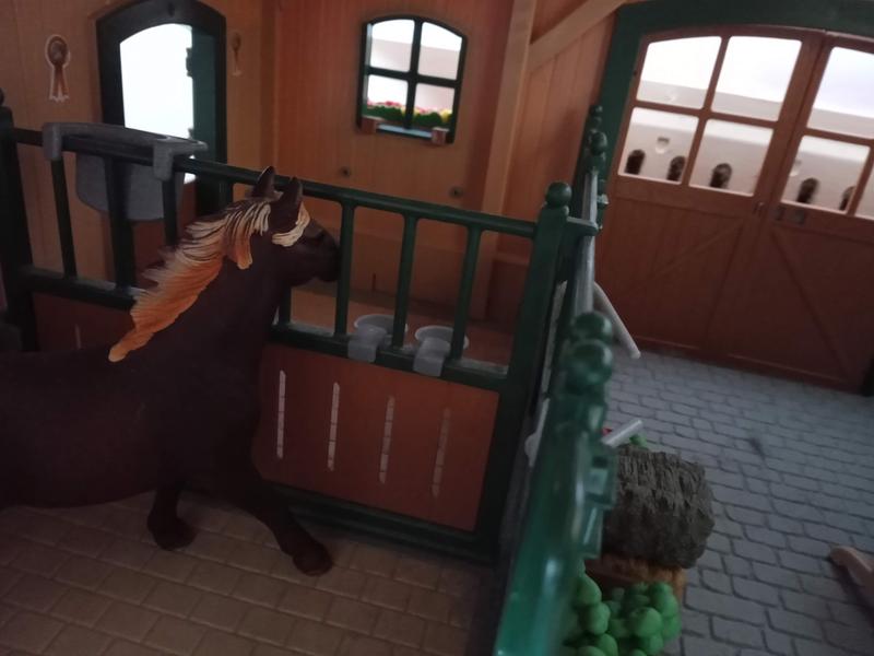 Photo from Horse Lover