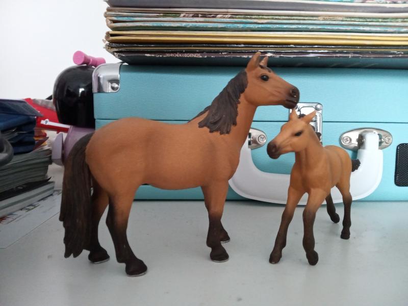 Photo from Horse Lover
