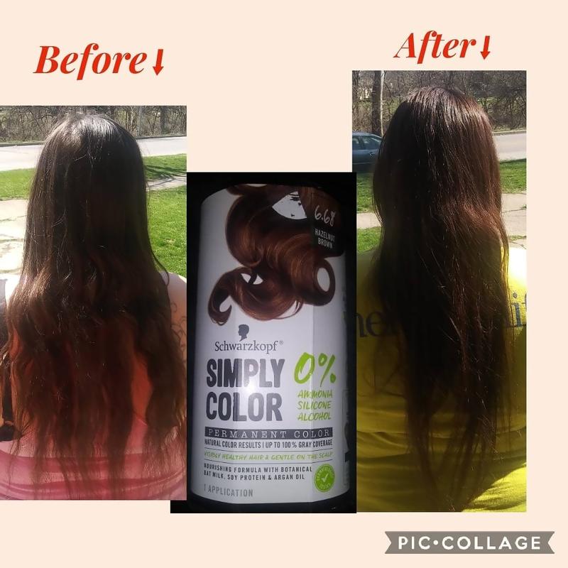 Schwarzkopf Simply Color Permanent Hair Color, 6.68 Hazelnut Brown  Ingredients and Reviews