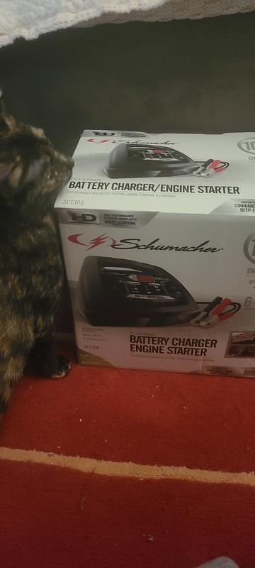 Even my kitty likes it.