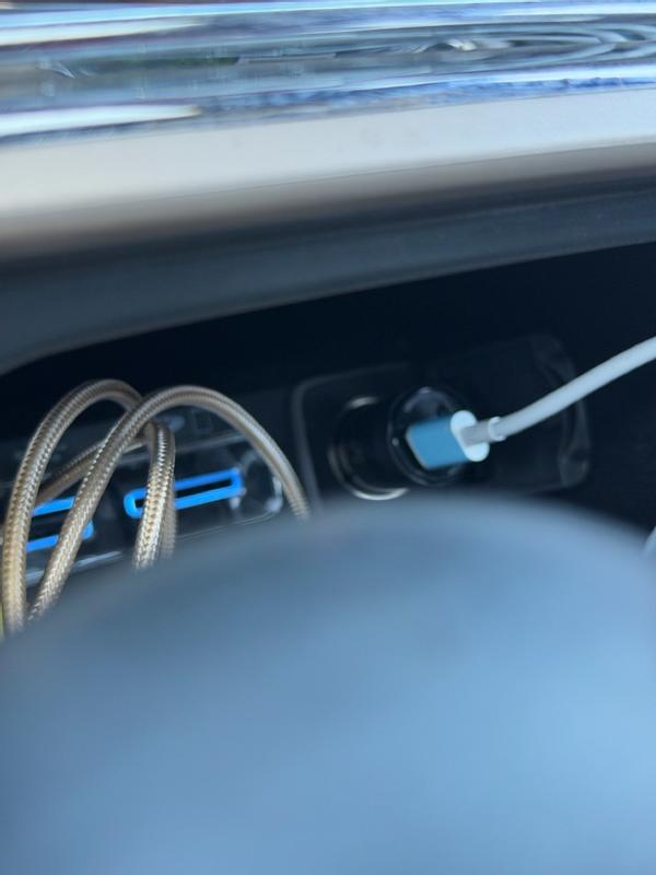 Photo - commentaire 7.