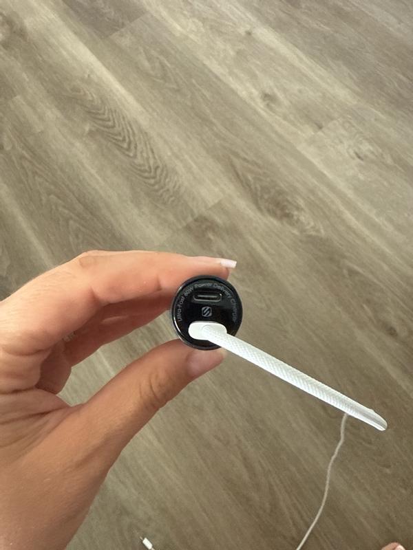 Photo - commentaire 8.