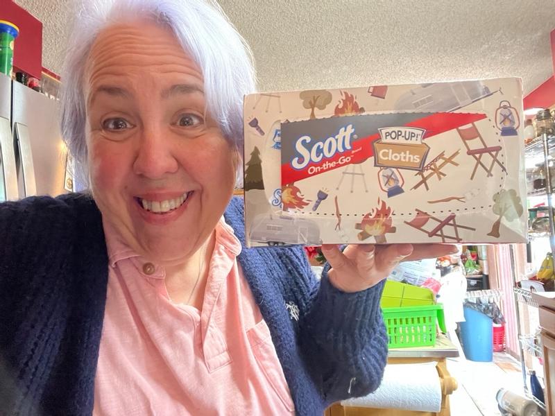 SCOTT On-the-Go Cleaning Cloth 9 in. W X 10 in. L 70 ct 1 pk in the All ...