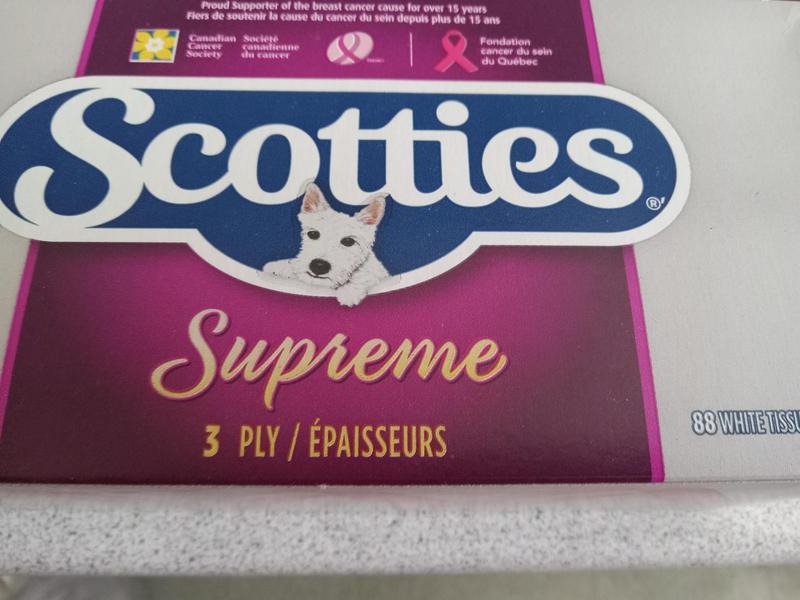 Photo - commentaire&nbsp;6.