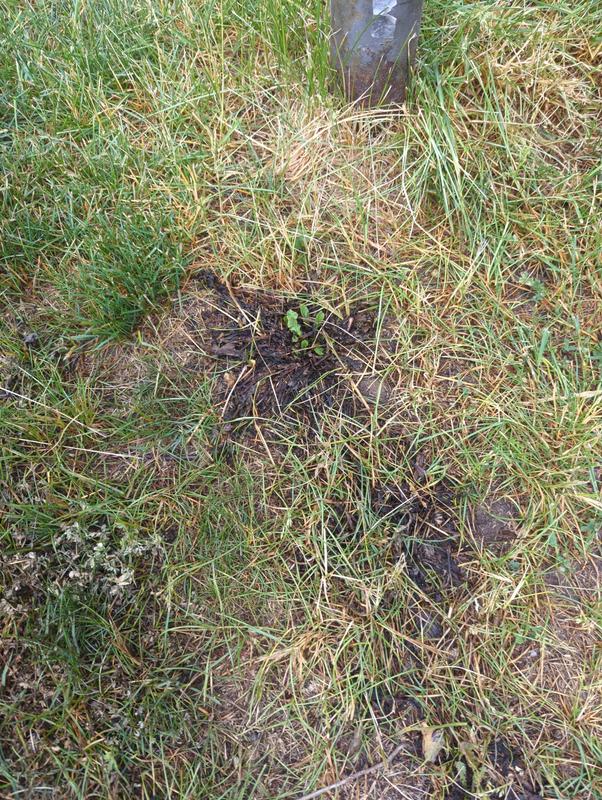 Photo - commentaire&nbsp;7.