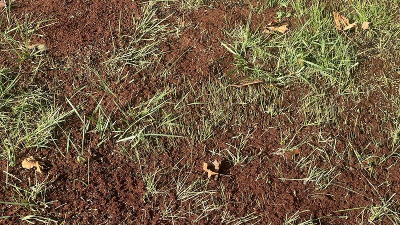 Photo - commentaire&nbsp;3.