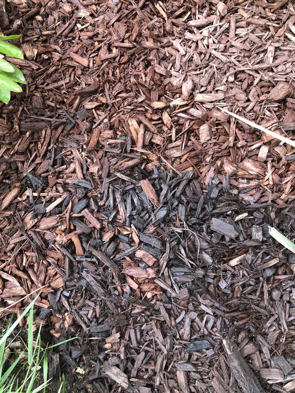 Scotts Nature Scapes Color Enhanced Mulch