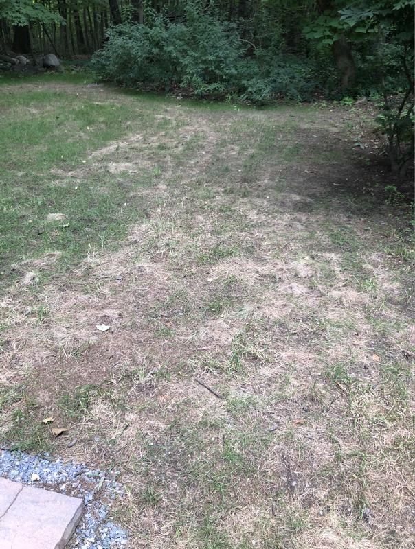 Step 2 Weed Control Plus Lawn Food, 14.29 Lbs., 5000 Sq. Ft. Coverage