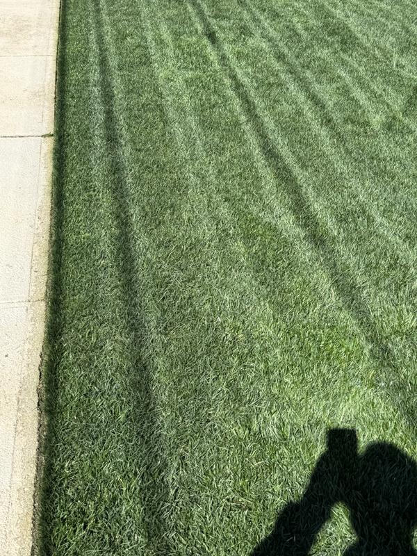 Review photo 2.