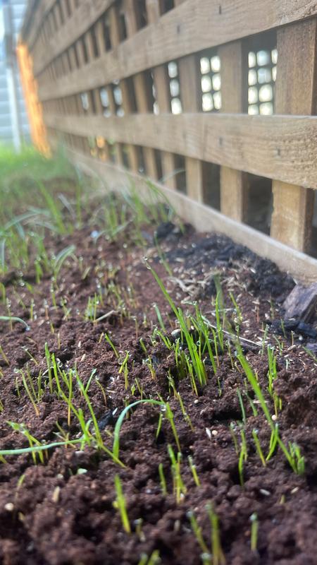 Photo - commentaire&nbsp;2.