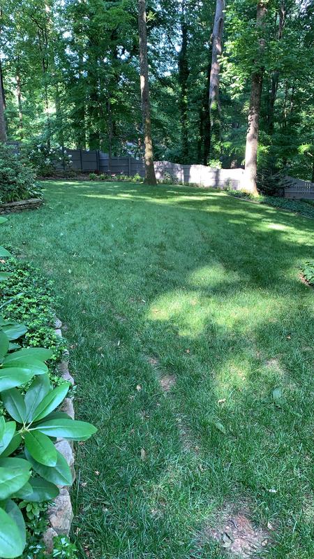 How to Keep Field Mice Out of Your Lawn – The Turfgrass Group Inc