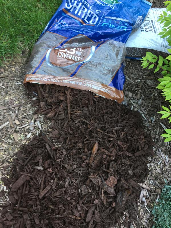 Meijer Garden Center Mulch Fasci Garden