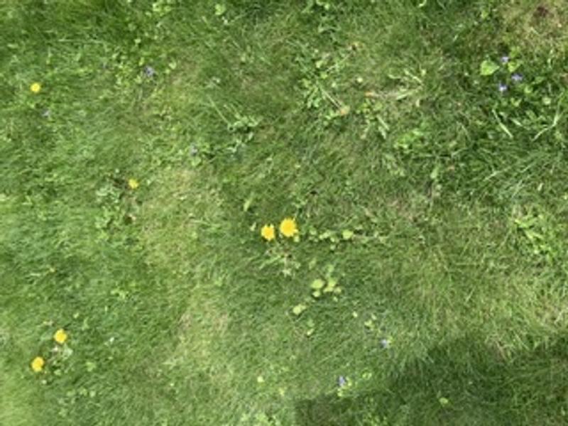 Photo - commentaire&nbsp;1.