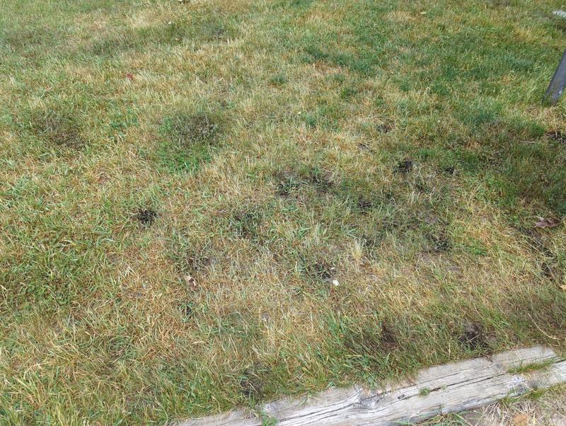 Photo - commentaire&nbsp;4.