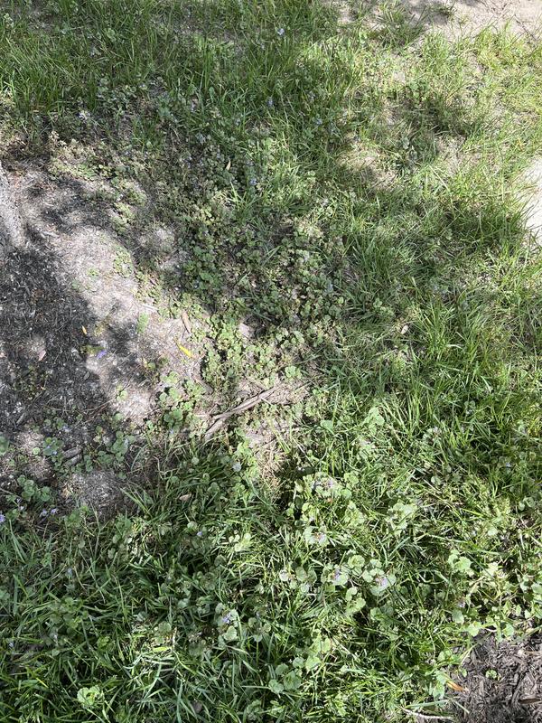 Photo - commentaire 7.